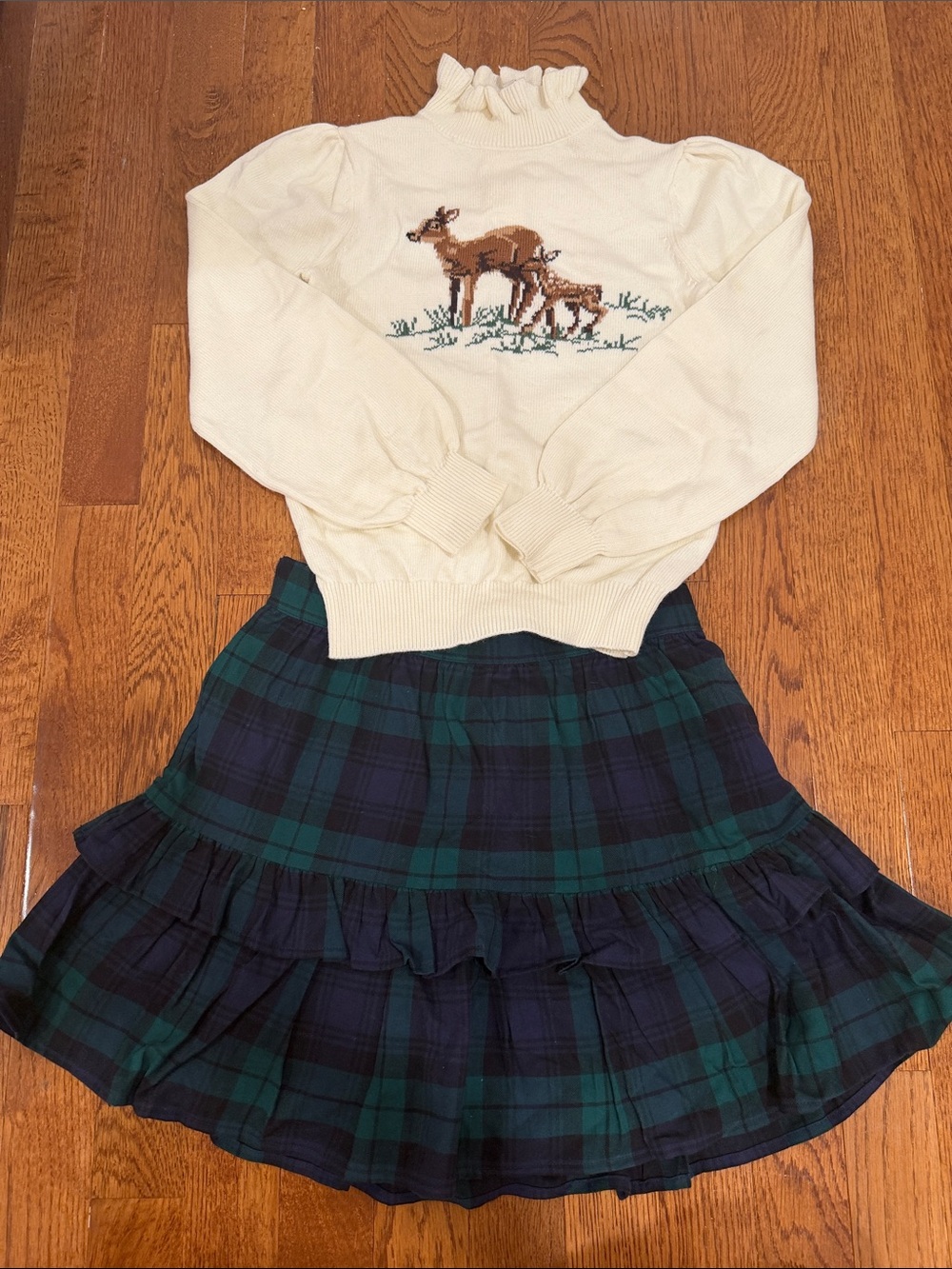 Janie and Jack holiday outfit Sweater and skirt bundle